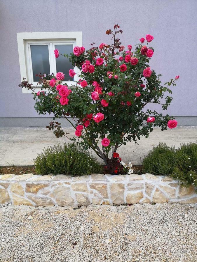 Home Lucic Lozovac Bagian luar foto